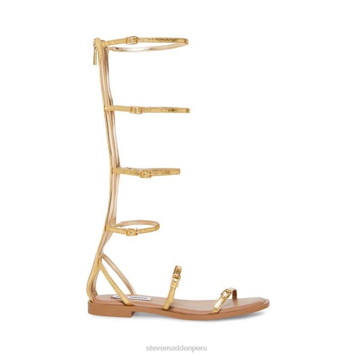 Steve Madden calzado mujer espartano 4DZJ77 oro