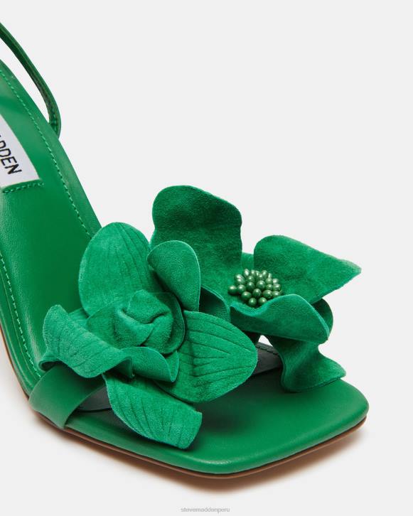 Steve Madden calzado mujer amaní 4DZJ534 verde